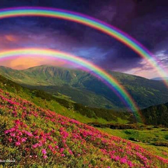 Meet your Posher, Victoria - Picture 3 of 7